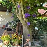 Rosche *