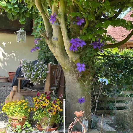 Rosche *