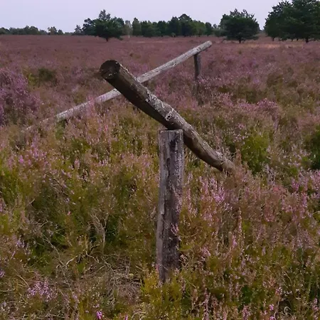 Rosche * Schneverdingen