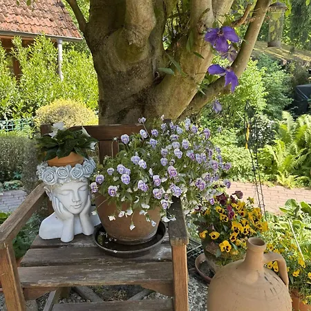 Rosche